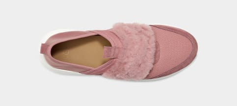 Ugg sales pico sneaker