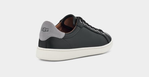 Ugg top trainers milo