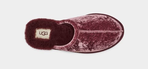 Ugg fluff yeah 2025 bougainvillea