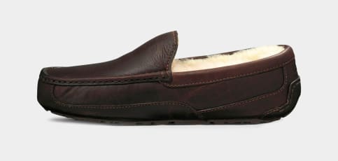 UGG Ascot Slipper for Men UGG UK