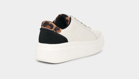 UGG Scape Animal Print Trainer for Women UGG UK