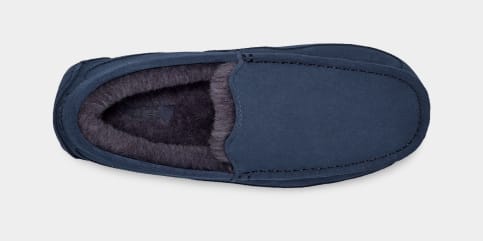 Ugg ascot blue store