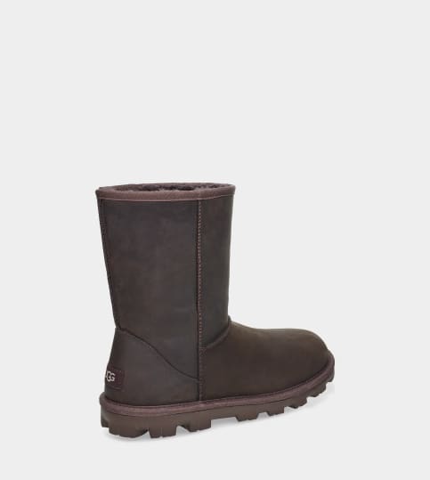 Uggs classic store short leather