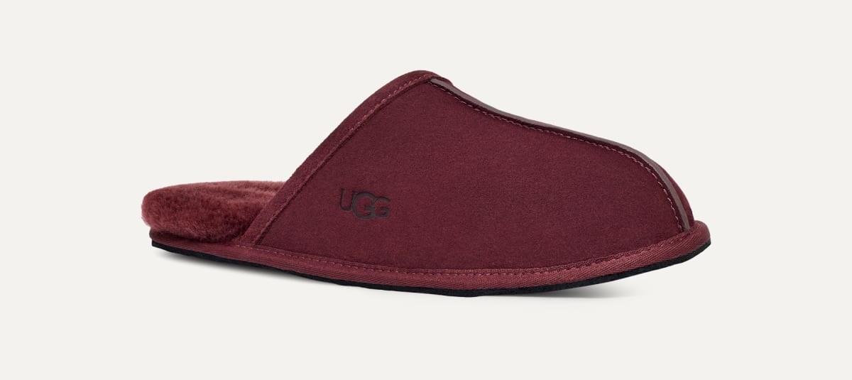 Mens ugg scuff on sale
