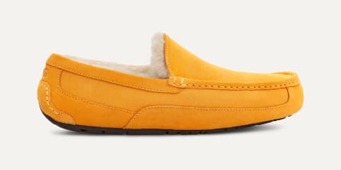 UGG Ascot Suede Slipper for Men UGG UK