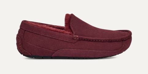 UGG Ascot Slip On for Men UGG UK