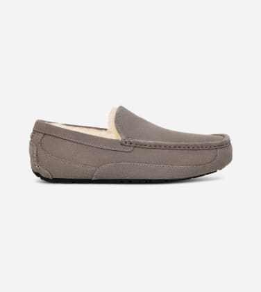 Chausson UGG Ascot pour Homme in Grey, Taille 41, Daim
