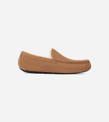 Chausson UGG Ascot pour Homme in Brown, Taille 46, Daim