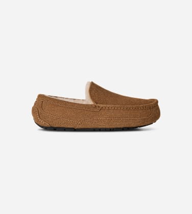 Chausson UGG Ascot pour Homme in Brown, Taille 46, Daim