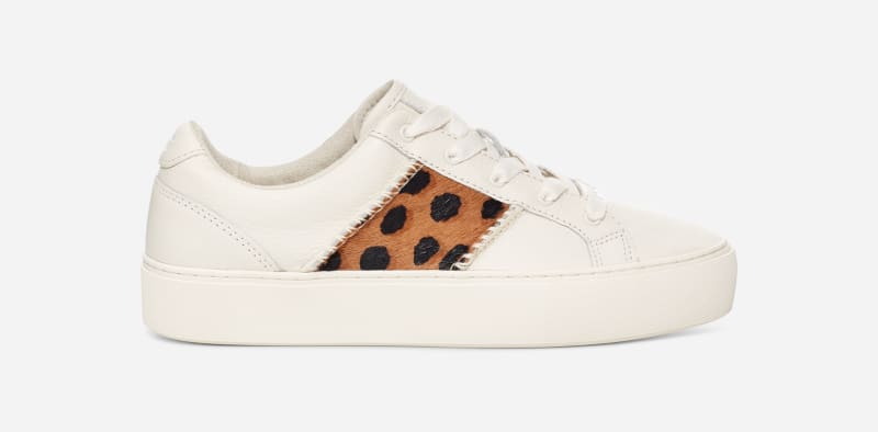 UGG Dinale Cheetah Print Trainer for Women