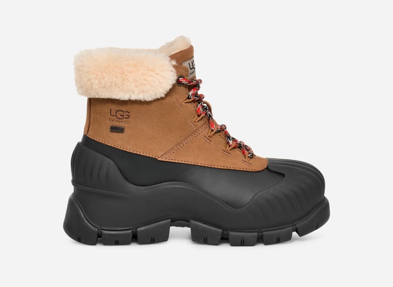 UGG Women's Adiroam Hiker Leather/Suede Cold Weather Boots in Chestnut