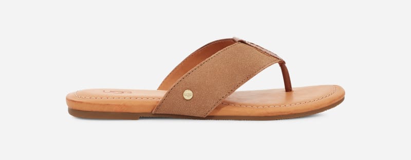UGG® Carey-slipper voor Dames in Brown, Maat 38.5, Suede