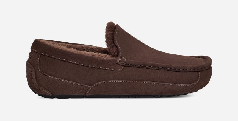 Chausson UGG Ascot pour homme | UGG UE in Dusted Cocoa