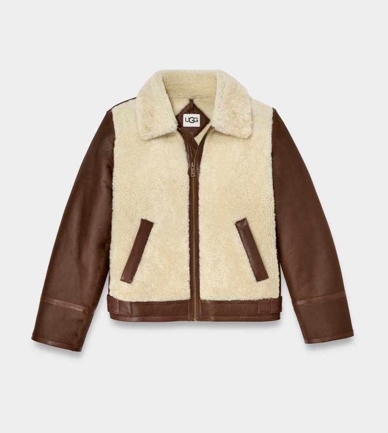 UGG Kaz Sheepskin Jacket for Men in Brown, Size Large, Leather