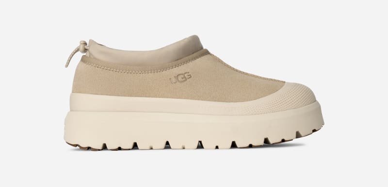 UGG Tasman Weather Hybrid for Men in Mustard Seed/Cream, Size 7, Suede/Polyester/Wool