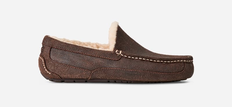 Ugg Ascot Leather Distressed-pantoffel in Dusted Cocoa  Suede