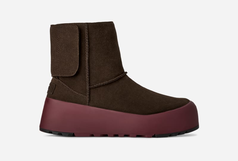 Dusted Cocoa/Wild Grape