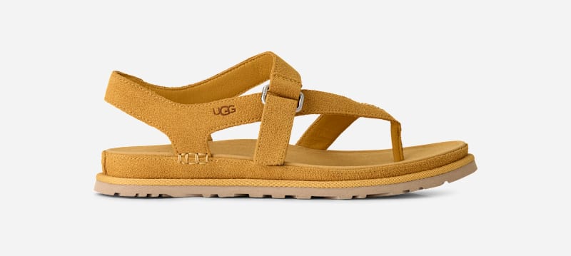 UGG GoldenGaze Toe Post Sandal for Women in Wheat Field, Size 5, Suede/Polyester/Leather