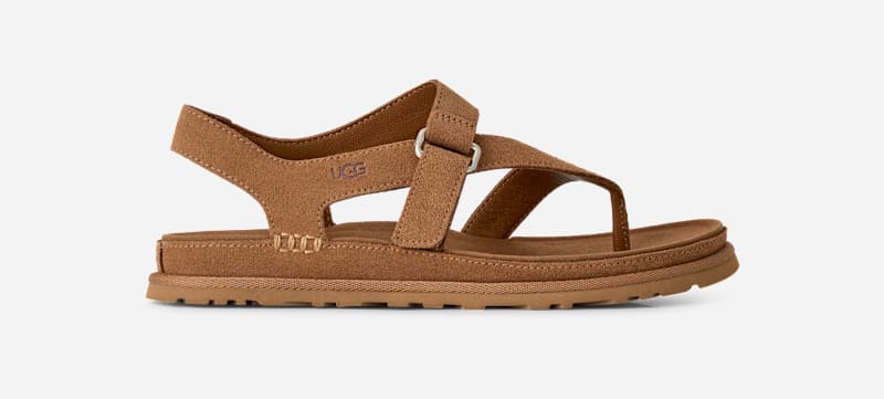 GoldenGaze Toe Post Suede Sandals