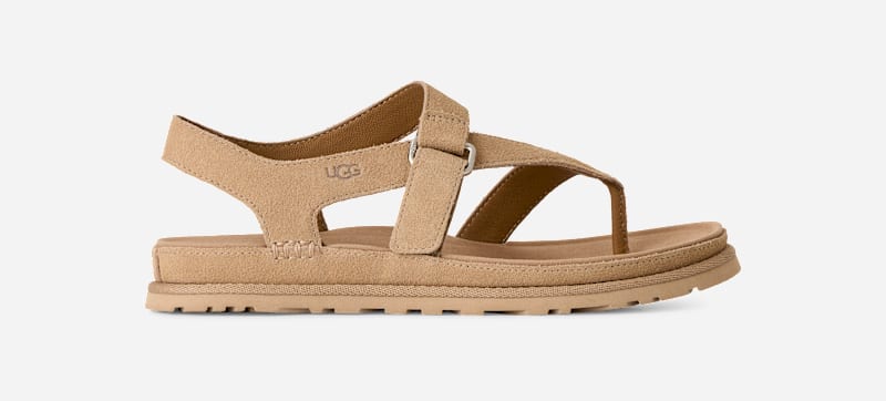 UGG GoldenGaze Toe Post Sandal for Women in Tan, Size 3, Suede/Polyester/Leather