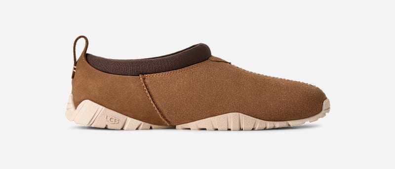 Chestnut
