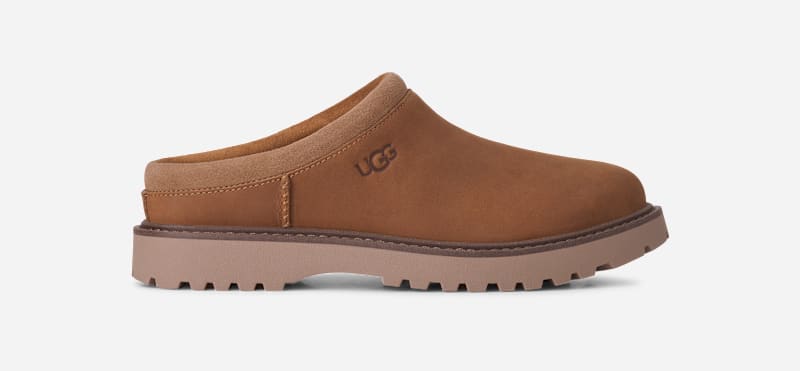 Chestnut