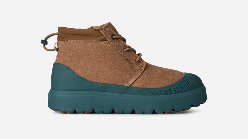Chestnut/Marina Blue