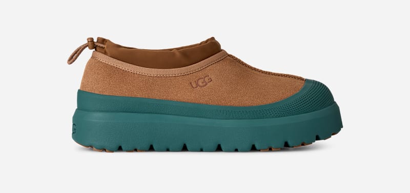Chestnut/Marina Blue