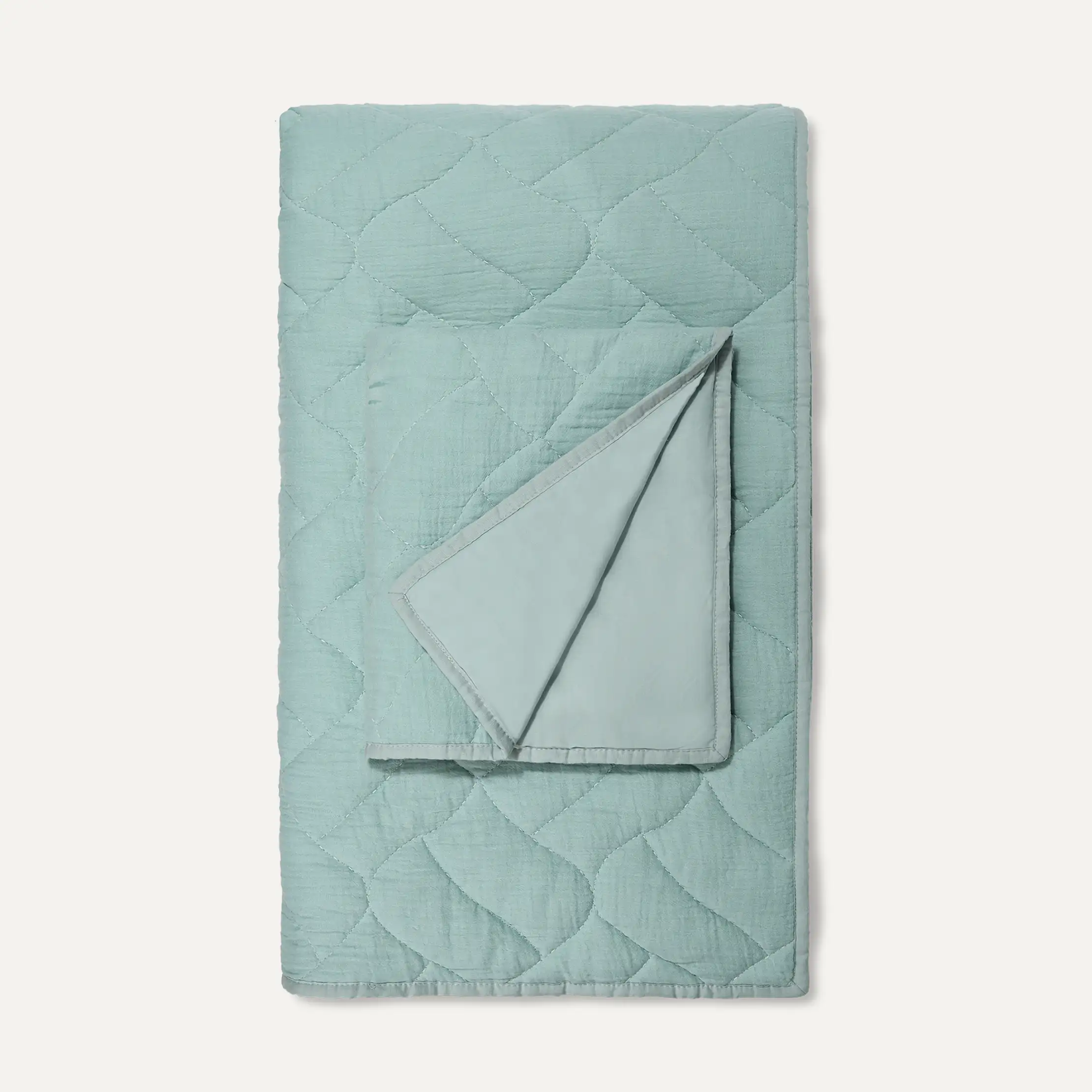 Home Aileen Coverlet Set (Queen)