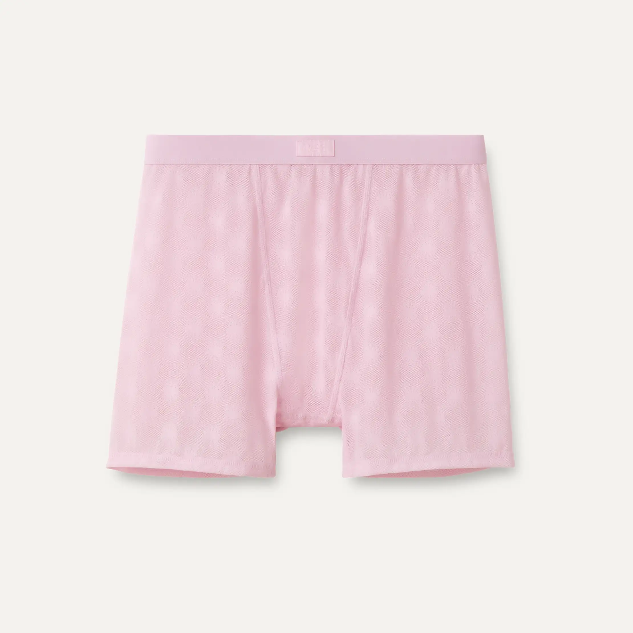 Women's Alexiah Boy Short Mesh
