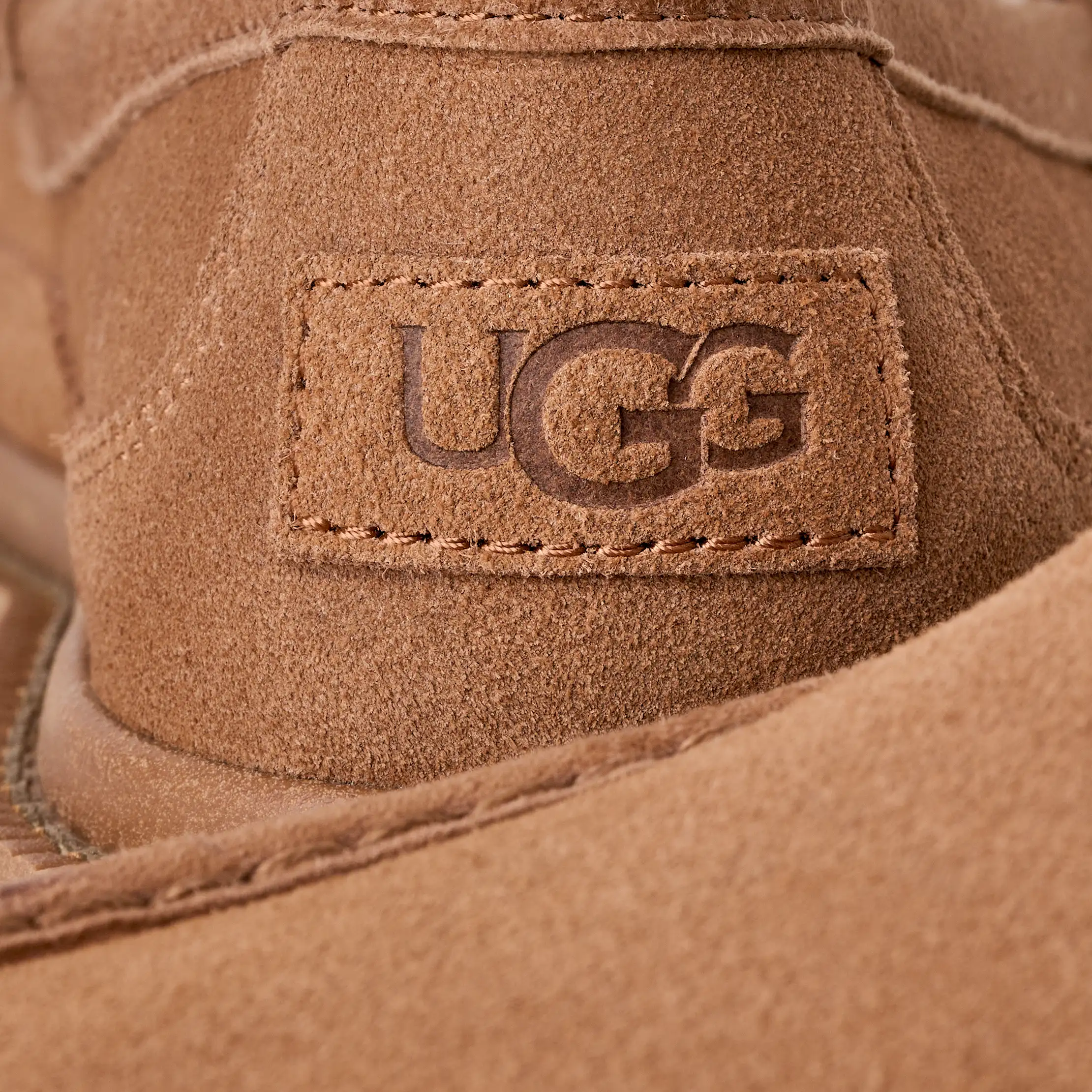Ascot Lug