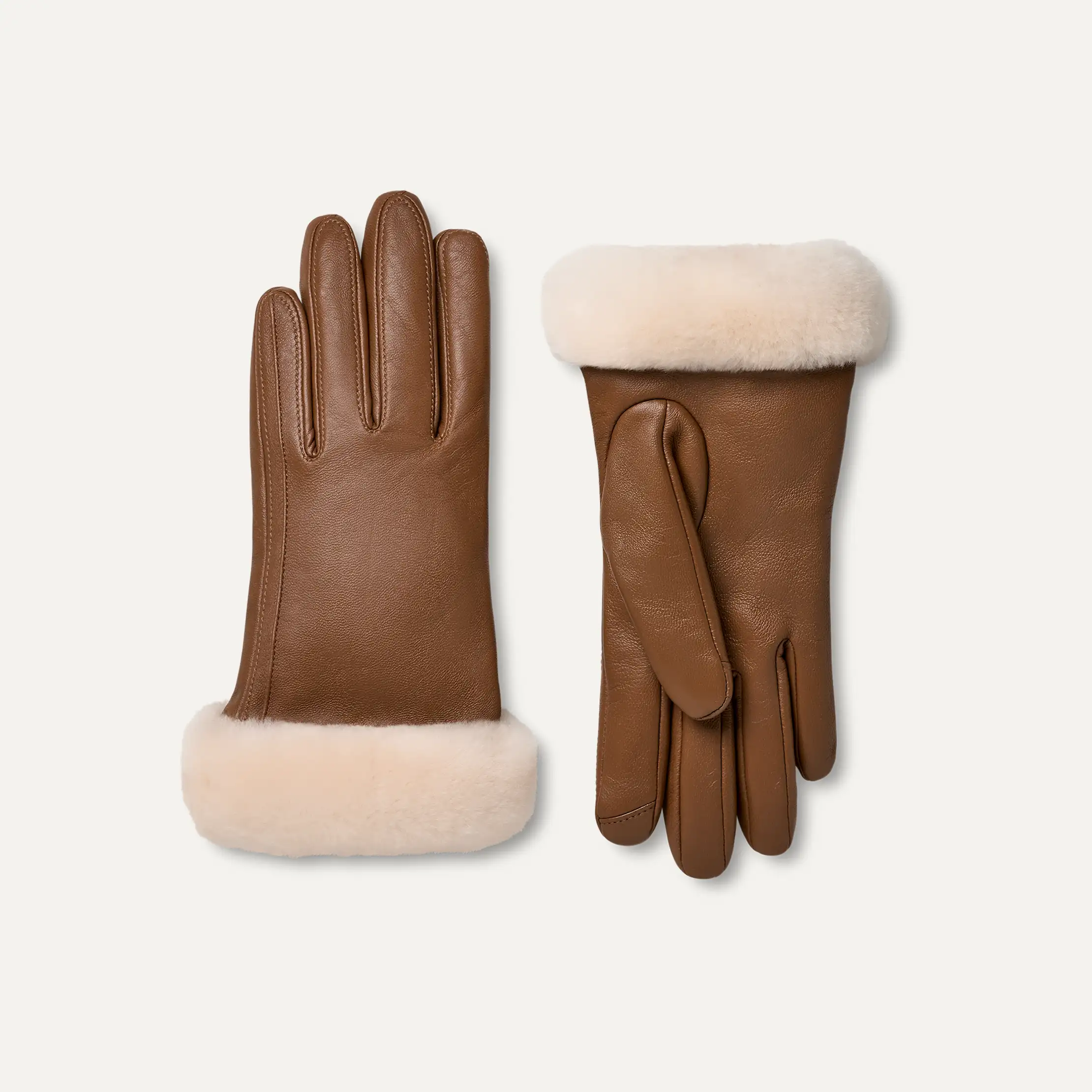 【UGG】Women's Leather Sheepskin Vent Glove 海外限定 UGG Women's Leather Sheepskin Vent Gloves with Conductive