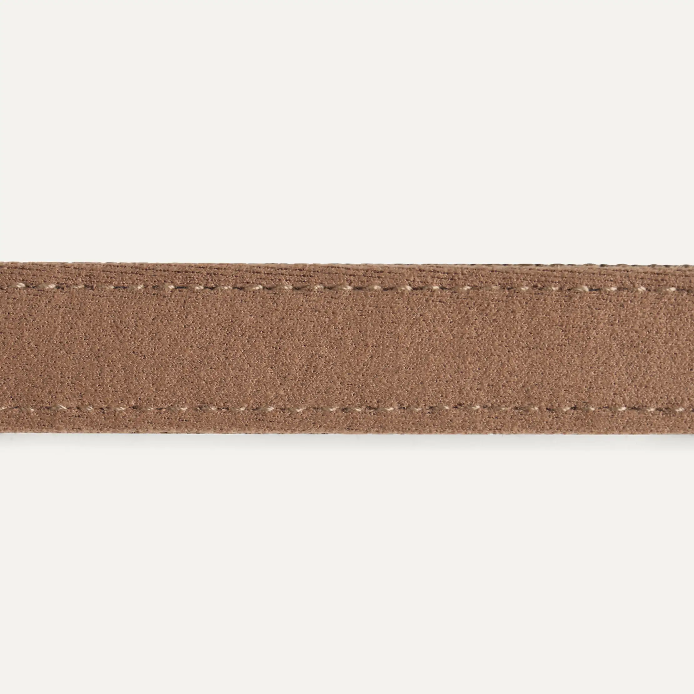 Wylie Collar Medium