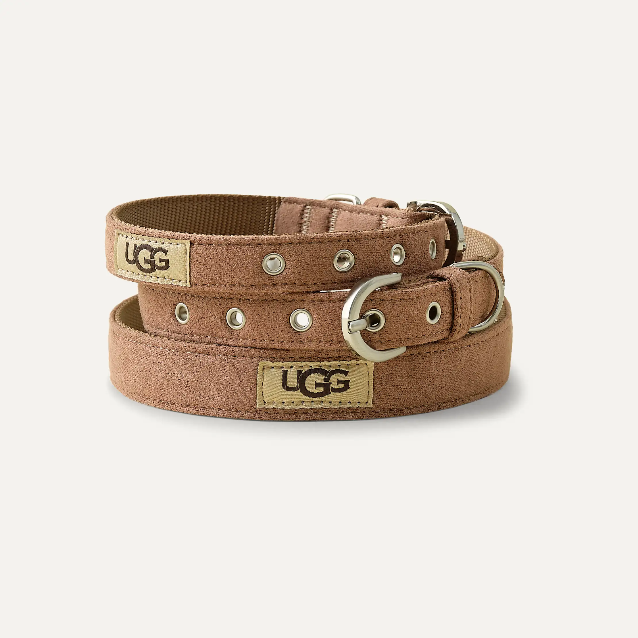 Wylie Collar Medium