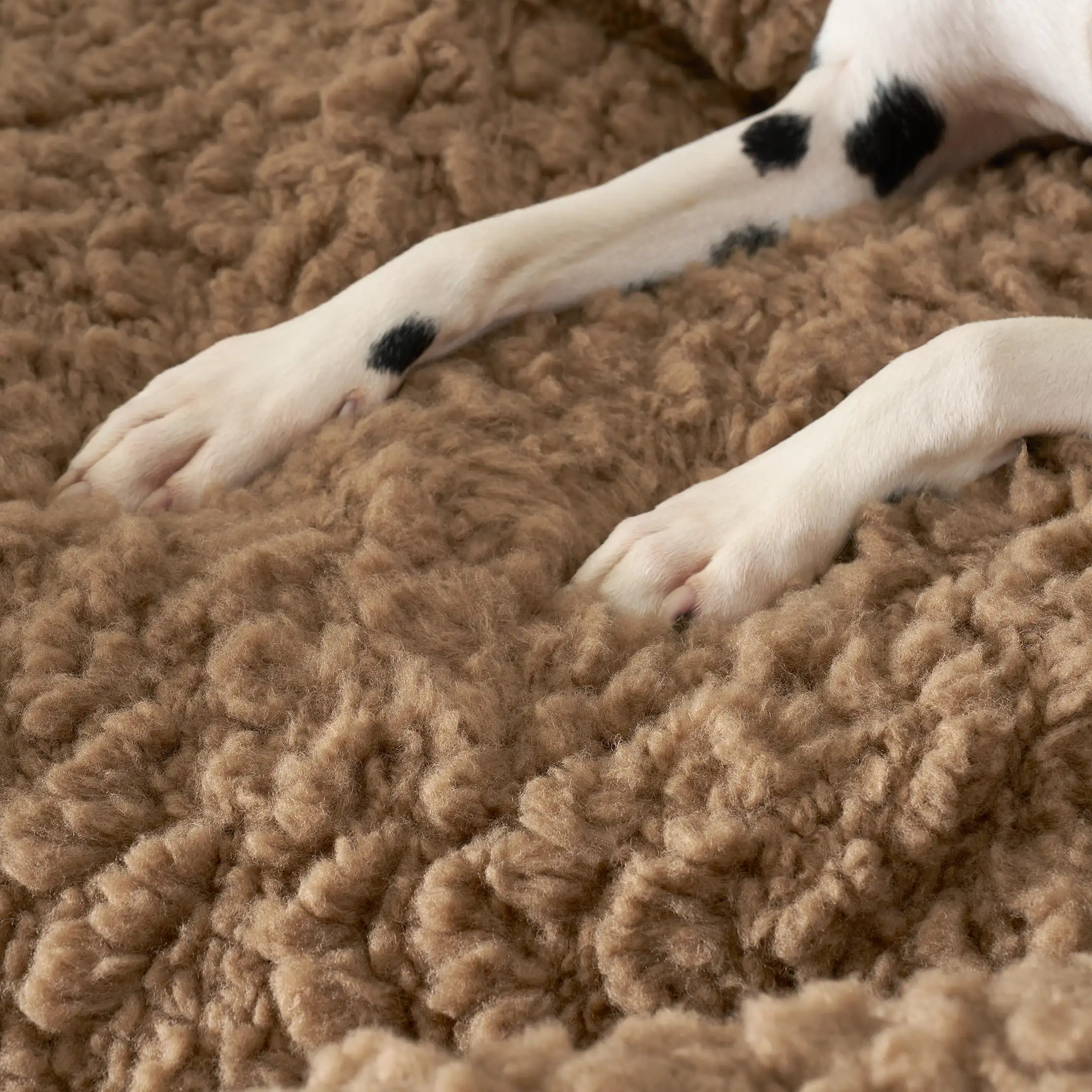 Shira Sofa Pet Bed Small