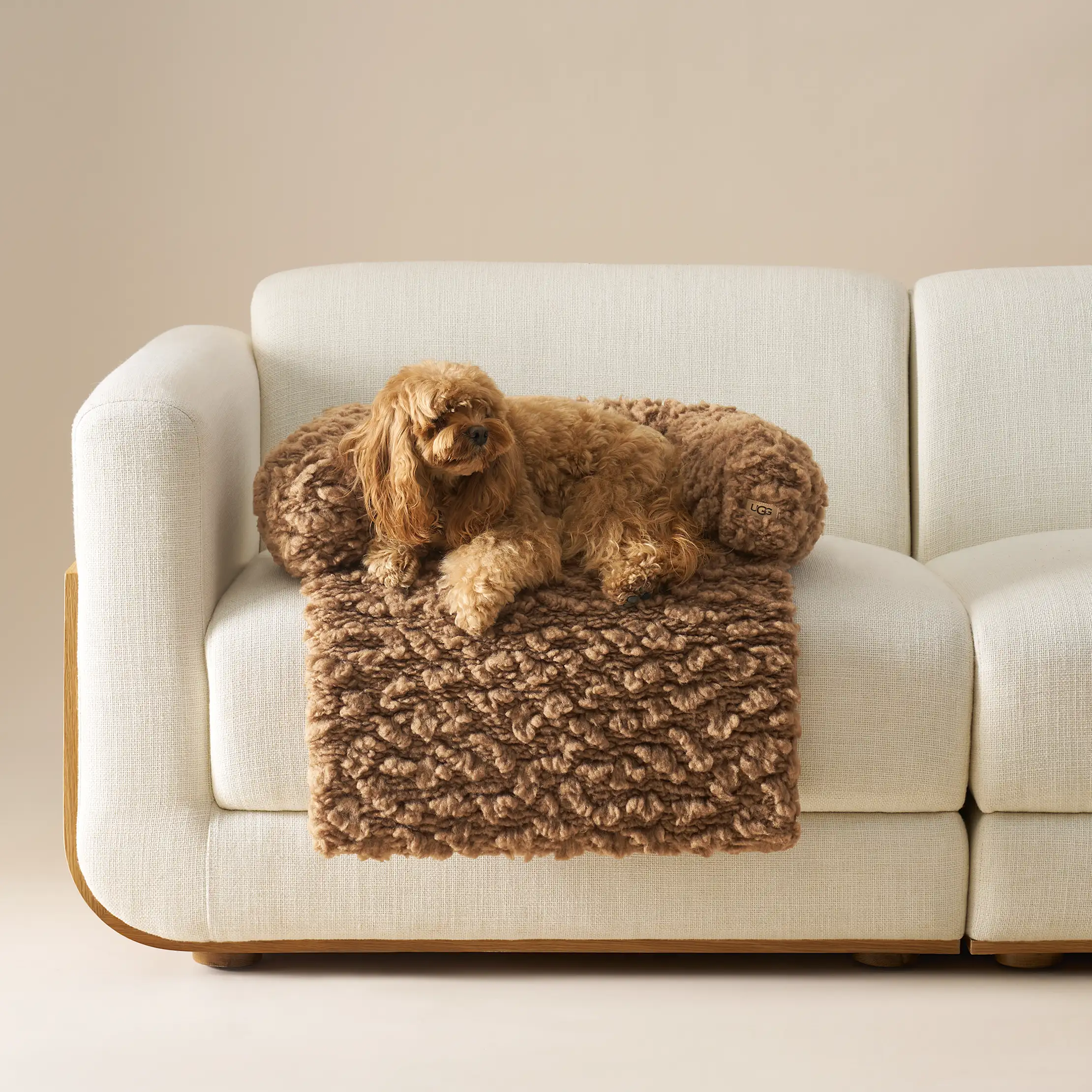 Shira Sofa Pet Bed Medium