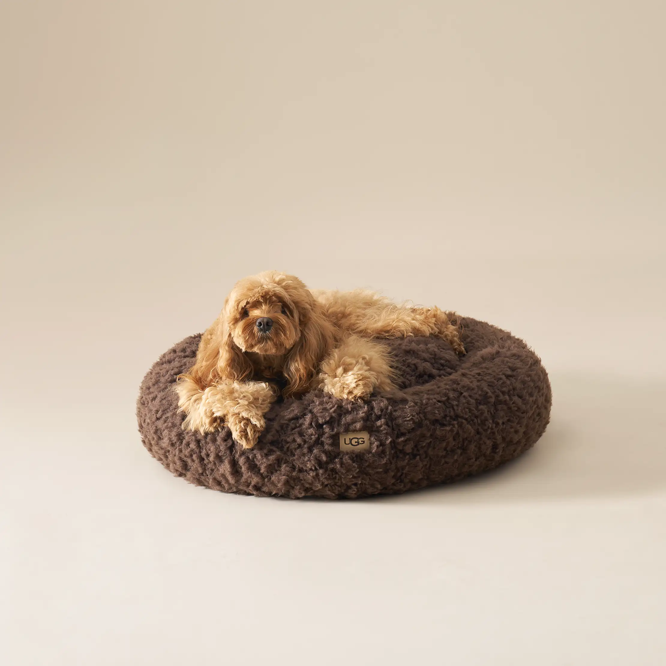 Shira Pet Bed Large