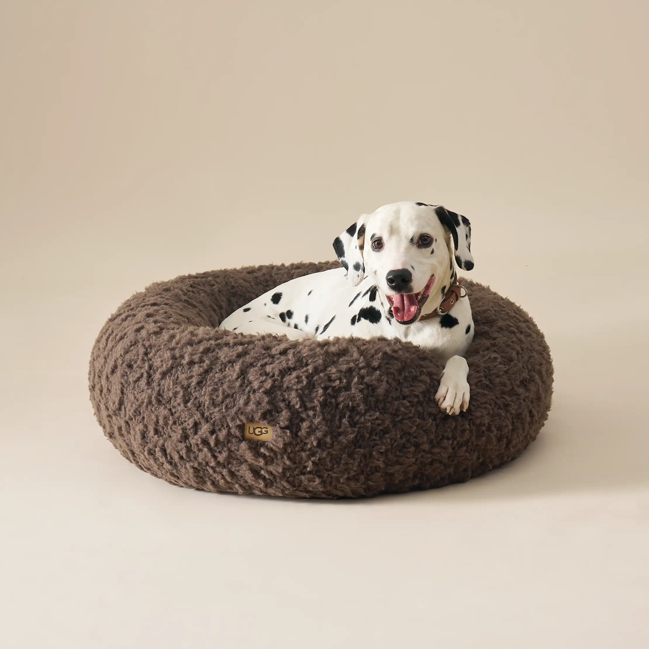 Shira Pet Bed Large