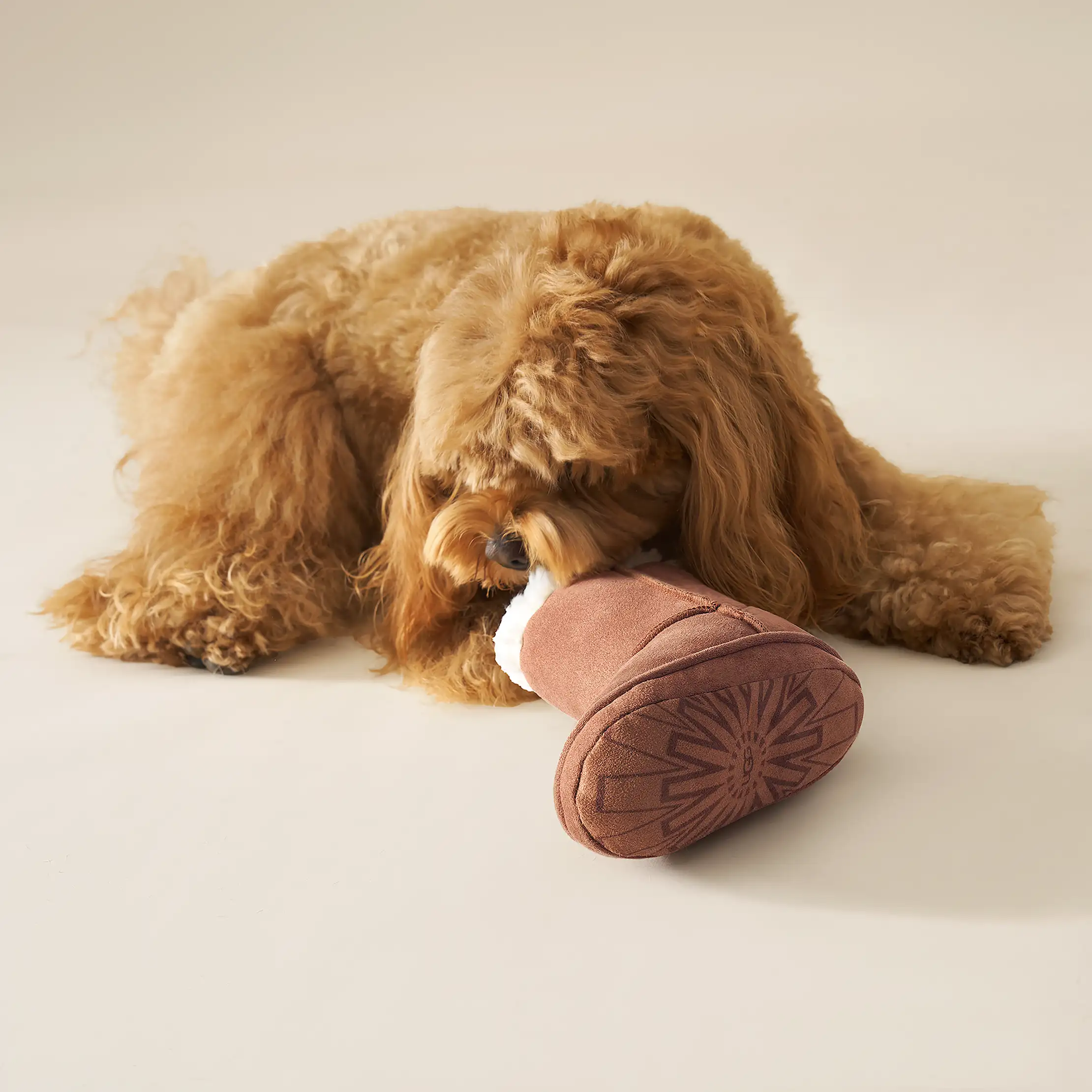 Classic Boot Pet Toy
