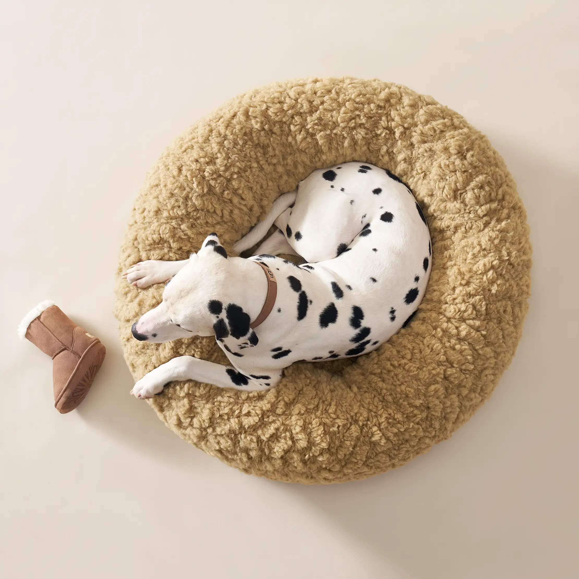 Classic Boot Pet Toy