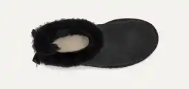 Mini Bailey Bow II