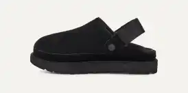 Sabot Goldenstar
