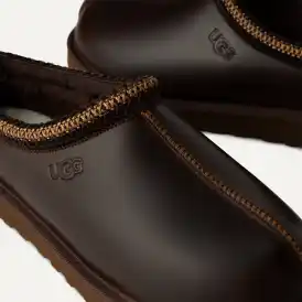 Régénération Tasman LTHR