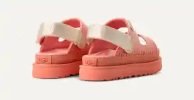 Goldenstar Glide Sunray