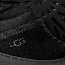 Tasman Weather Hybrid