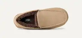 Men's Ascot Slipper | UGG® Official