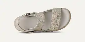 Goldenstar Crackle Glide