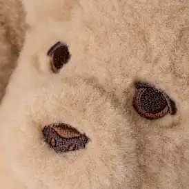 Flâneur toutou classique