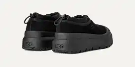 Tasman Weather Hybrid