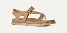 Entredoigt GoldenGaze